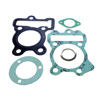 HALF GASKET DISCOVER 100