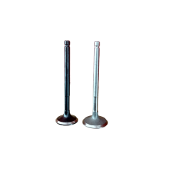 Engine Valve Super Splendor / Glamour