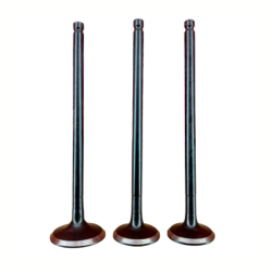 Engine Valve Victor New 3Valve