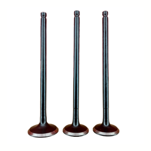 Engine Valve Victor New 3Valve